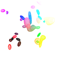 SurfaceExtraction1